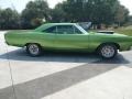 Green - Roadrunner Coupe Photo No. 2