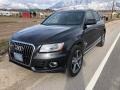 Lava Gray Pearl 2016 Audi Q5 3.0 TDI Prestige quattro Exterior