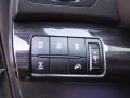 2011 Ebony Black Kia Sorento LX V6 AWD  photo #4