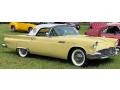 1957 Inca Gold Ford Thunderbird Convertible  photo #17