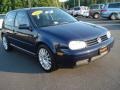 Indigo Blue Metallic - GTI 1.8T Photo No. 6