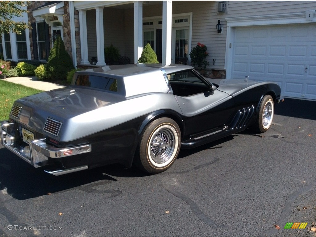 Silver 1979 Chevrolet Corvette Caballista Coupe Exterior Photo #138530673