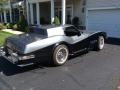 Silver 1979 Chevrolet Corvette Caballista Coupe Exterior