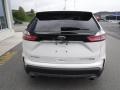 White Platinum - Edge Titanium AWD Photo No. 10
