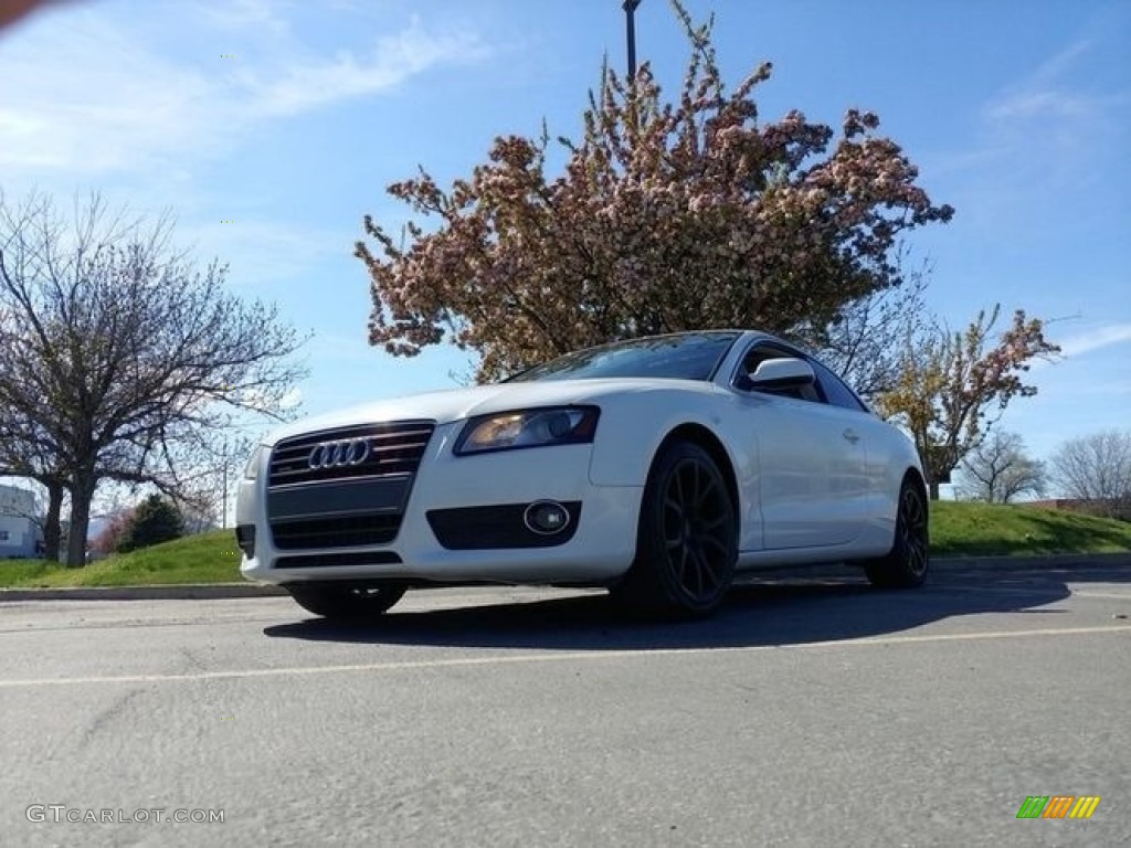 2010 A5 2.0T quattro Coupe - Ibis White / Black photo #2