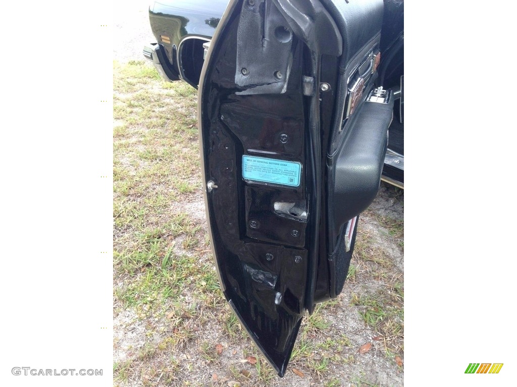 1974 Oldsmobile Ninety Eight Regency Sedan Black Door Panel Photo #138537213