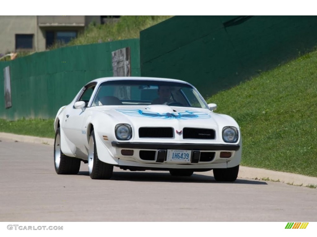 1974 Firebird Trans Am - Cameo White / White photo #3