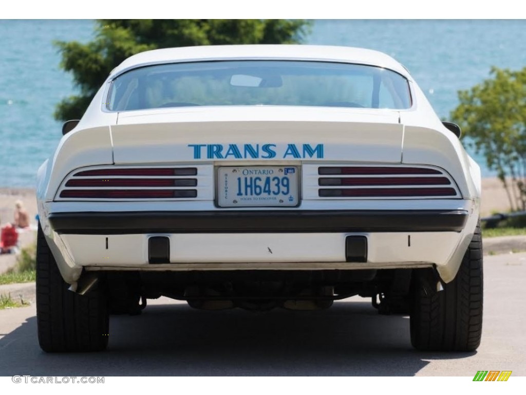 1974 Firebird Trans Am - Cameo White / White photo #6