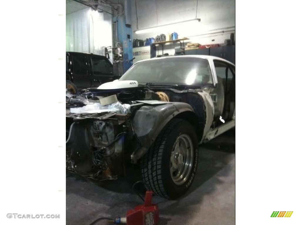 1974 Firebird Trans Am - Cameo White / White photo #14