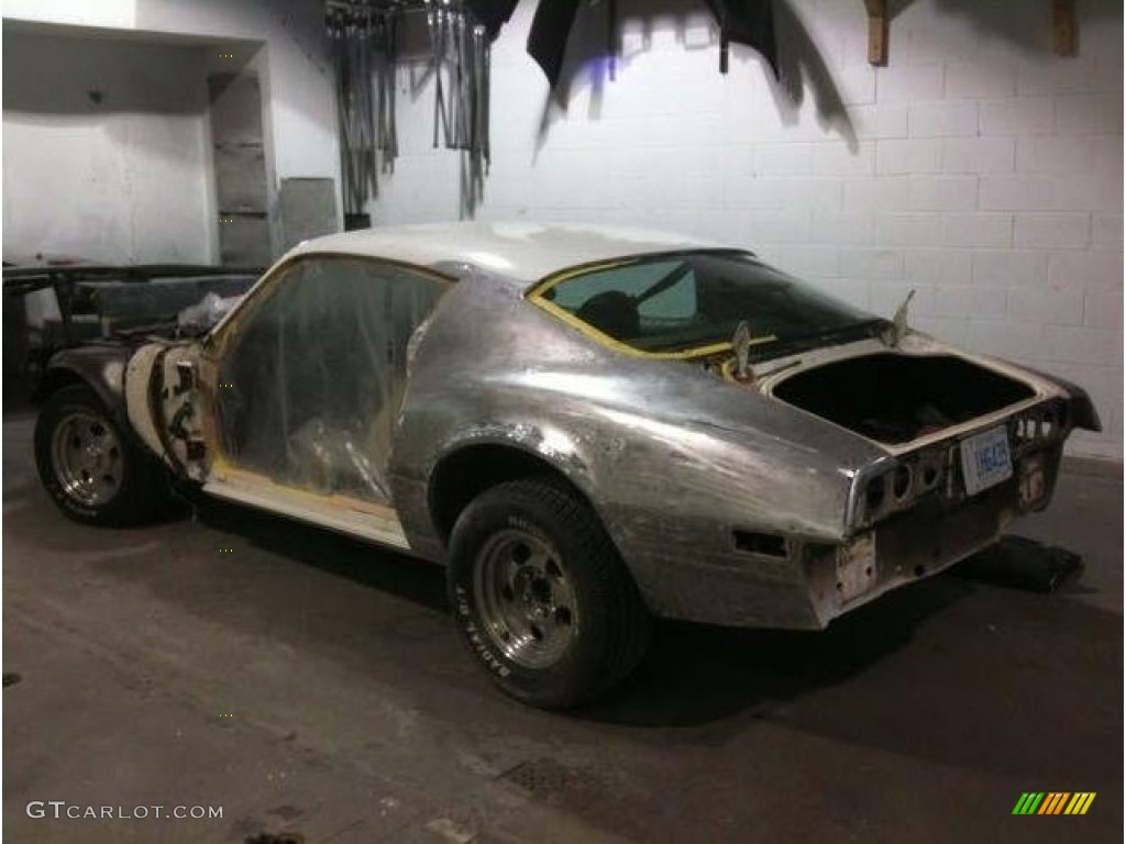 1974 Firebird Trans Am - Cameo White / White photo #15