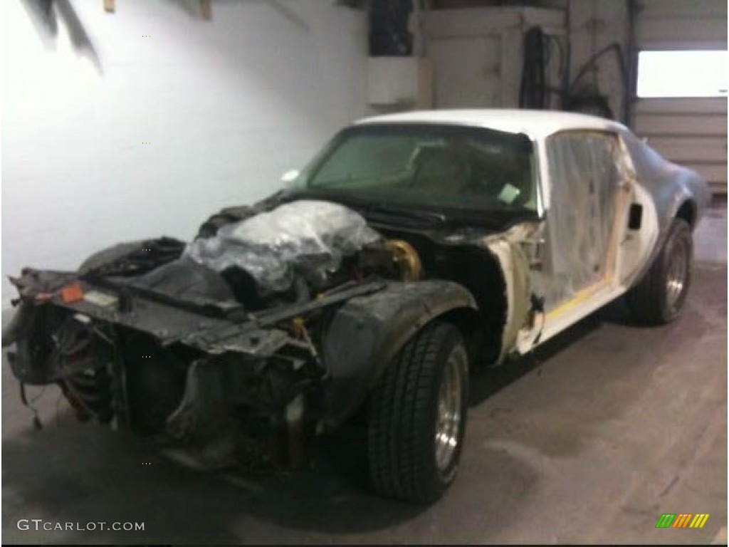 1974 Firebird Trans Am - Cameo White / White photo #16