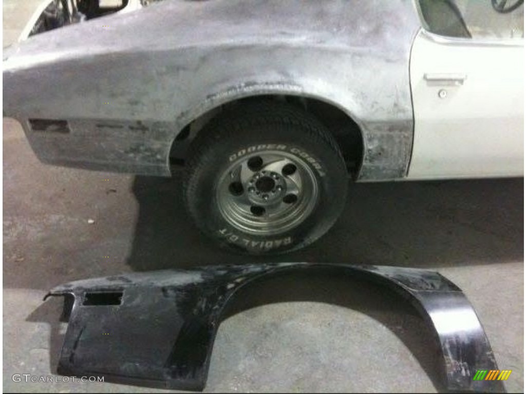 1974 Firebird Trans Am - Cameo White / White photo #18