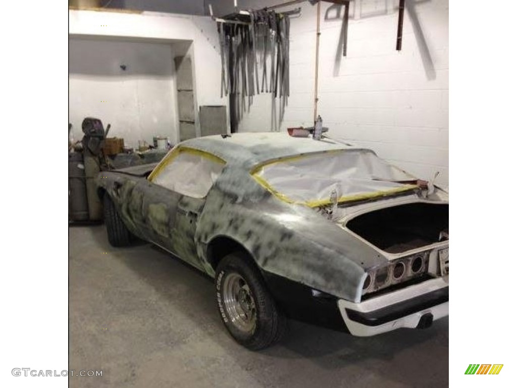 1974 Firebird Trans Am - Cameo White / White photo #20