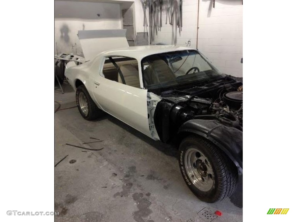 1974 Firebird Trans Am - Cameo White / White photo #21