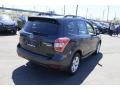 Dark Gray Metallic - Forester 2.5i Limited Photo No. 5