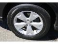 Dark Gray Metallic - Forester 2.5i Limited Photo No. 22
