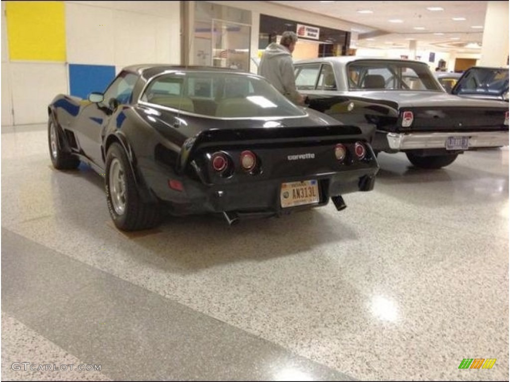 1979 Corvette Coupe - Black / Light Beige photo #3