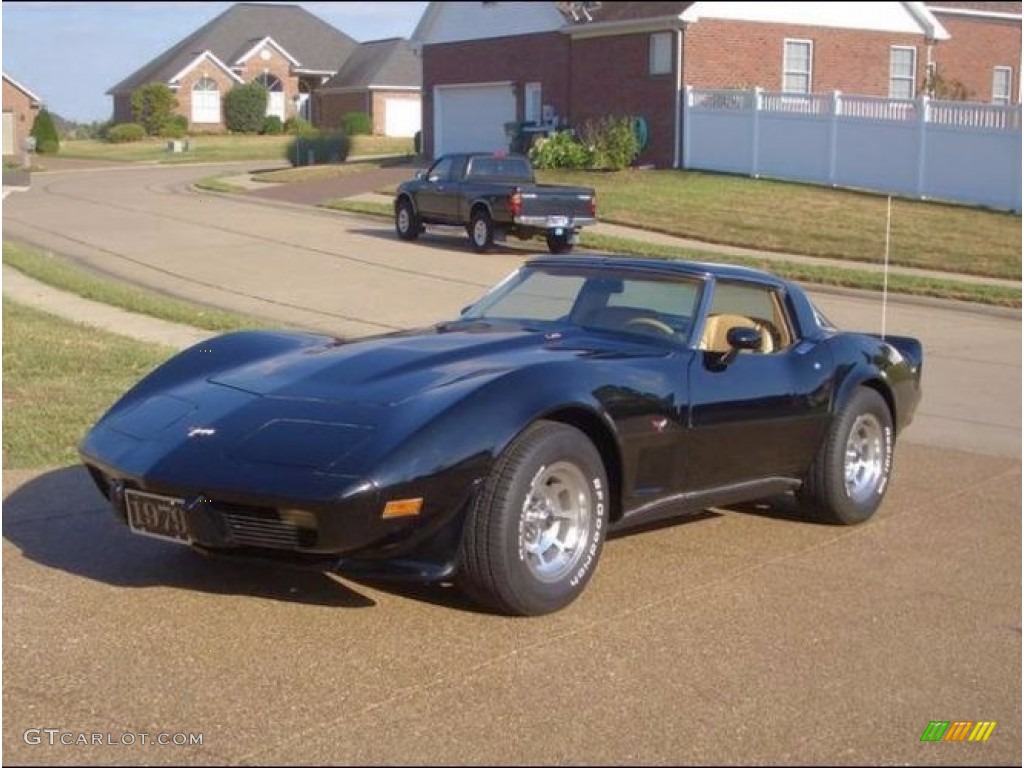1979 Corvette Coupe - Black / Light Beige photo #1