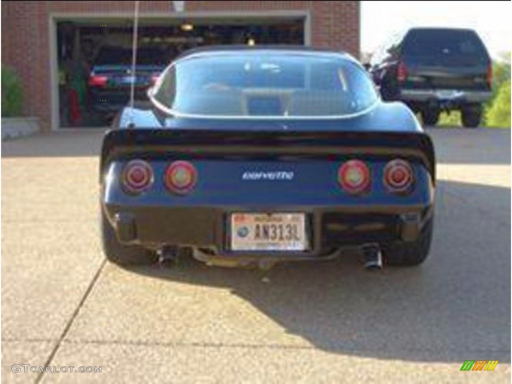 1979 Corvette Coupe - Black / Light Beige photo #4