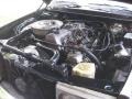3.0 Liter SOHC 10-Valve Diesel 5 Cylinder Engine for 1980 Mercedes-Benz E Class 300 D Sedan #138554303