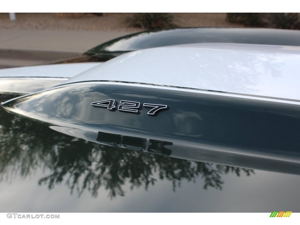 1967 Chevrolet Corvette Coupe Marks and Logos Photo #138555469