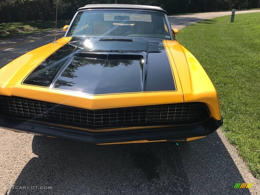 Custom Yellow 1971 Ford Torino GT Convertible Exterior Photo #138557256