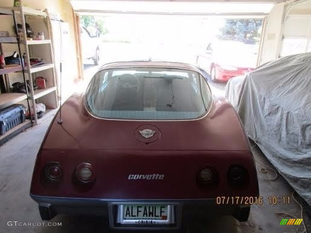 1978 Corvette Coupe - Corvette Mahogany / Oyster photo #2