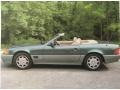 Brilliant Emerald Pearl 1993 Mercedes-Benz SL 600 Roadster Exterior