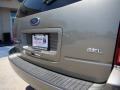 Arizona Beige Metallic - Freestar SEL Photo No. 27