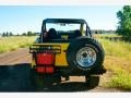 1973 Canary Yellow Ford Bronco 4x4  photo #14