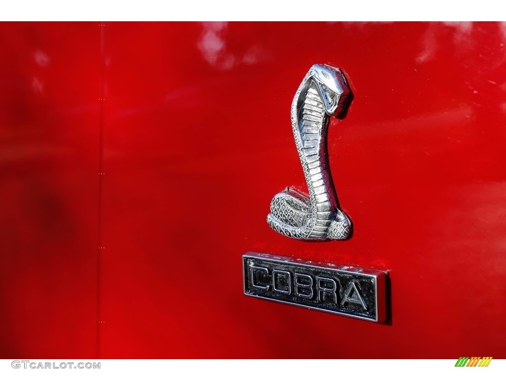 1969 Ford Cobra SportsRoof Marks and Logos Photo #138573576