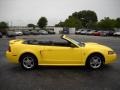 2003 Zinc Yellow Ford Mustang V6 Convertible  photo #3