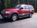 Redfire Metallic - Expedition XLT 4x4 Photo No. 1