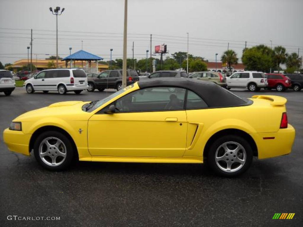 2003 Mustang V6 Convertible - Zinc Yellow / Dark Charcoal photo #11