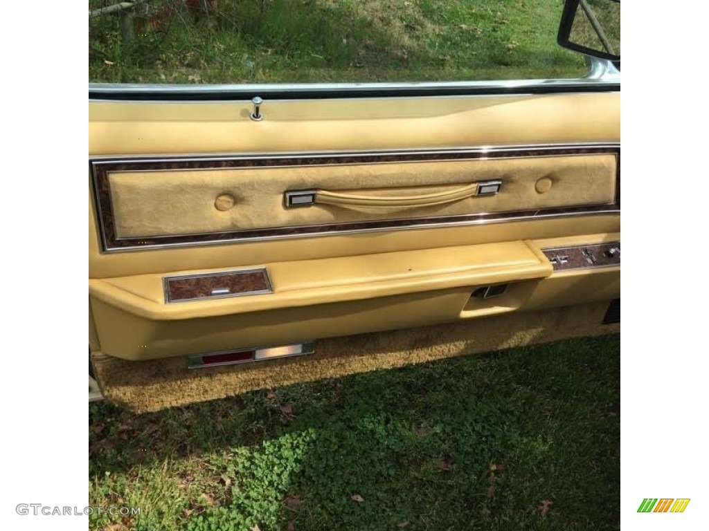 1976 Ford Thunderbird Coupe Tan/Gold Door Panel Photo #138576075