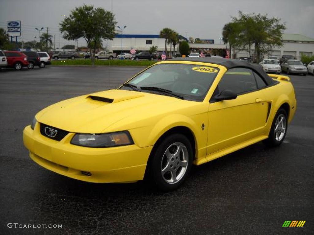 2003 Mustang V6 Convertible - Zinc Yellow / Dark Charcoal photo #12