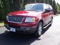 Redfire Metallic - Expedition XLT 4x4 Photo No. 3
