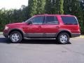 Redfire Metallic - Expedition XLT 4x4 Photo No. 6