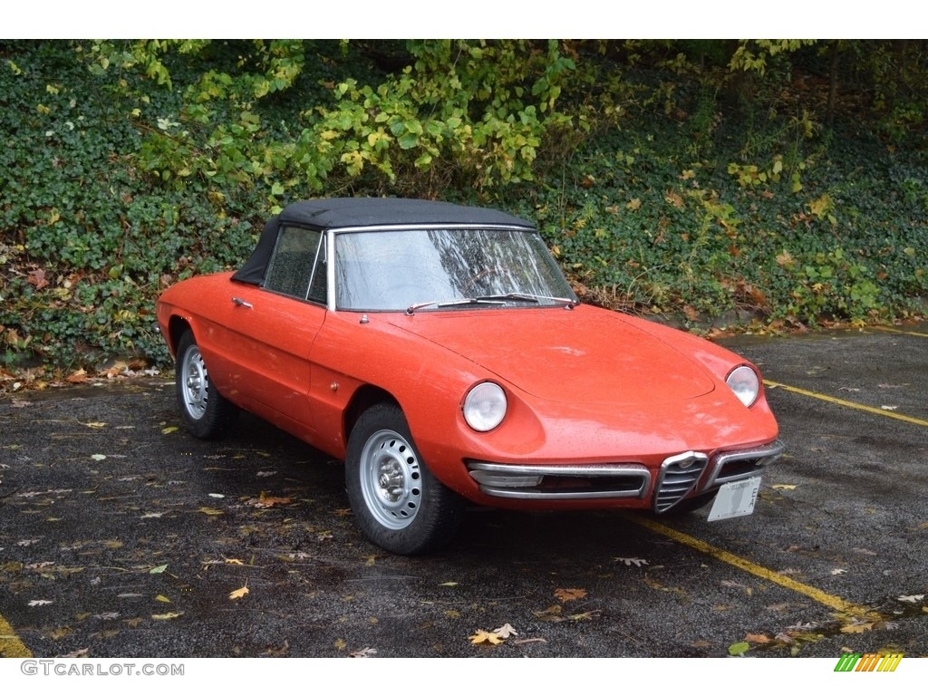 1966 Duetto Spider - Rosso Farina (Red) / Black photo #2