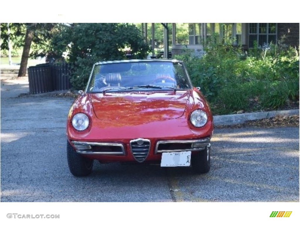 1966 Duetto Spider - Rosso Farina (Red) / Black photo #3