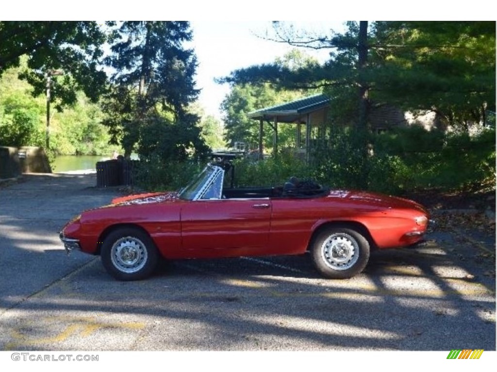 1966 Duetto Spider - Rosso Farina (Red) / Black photo #4