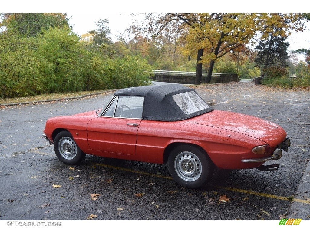 1966 Duetto Spider - Rosso Farina (Red) / Black photo #7