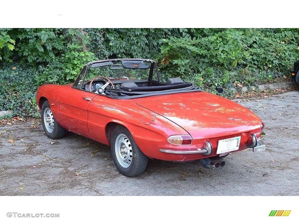 1966 Duetto Spider - Rosso Farina (Red) / Black photo #8