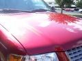 Redfire Metallic - Expedition XLT 4x4 Photo No. 15