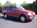 Redfire Metallic - Expedition XLT 4x4 Photo No. 19