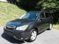 Dark Gray Metallic - Forester 2.5i Premium Photo No. 2