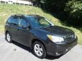 Dark Gray Metallic 2015 Subaru Forester 2.5i Premium Exterior