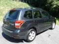Dark Gray Metallic - Forester 2.5i Premium Photo No. 6