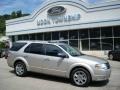 Silver Birch Metallic 2008 Ford Taurus X Limited