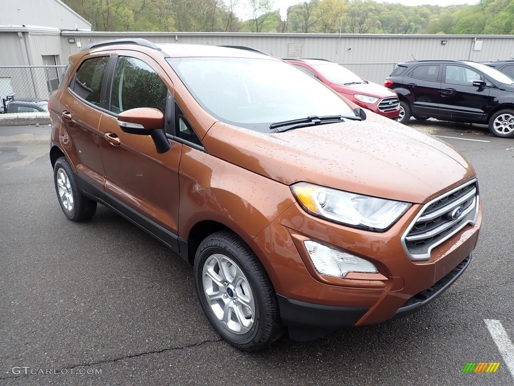 2020 EcoSport SE 4WD - Canyon Ridge Metallic / Ebony Black photo #3